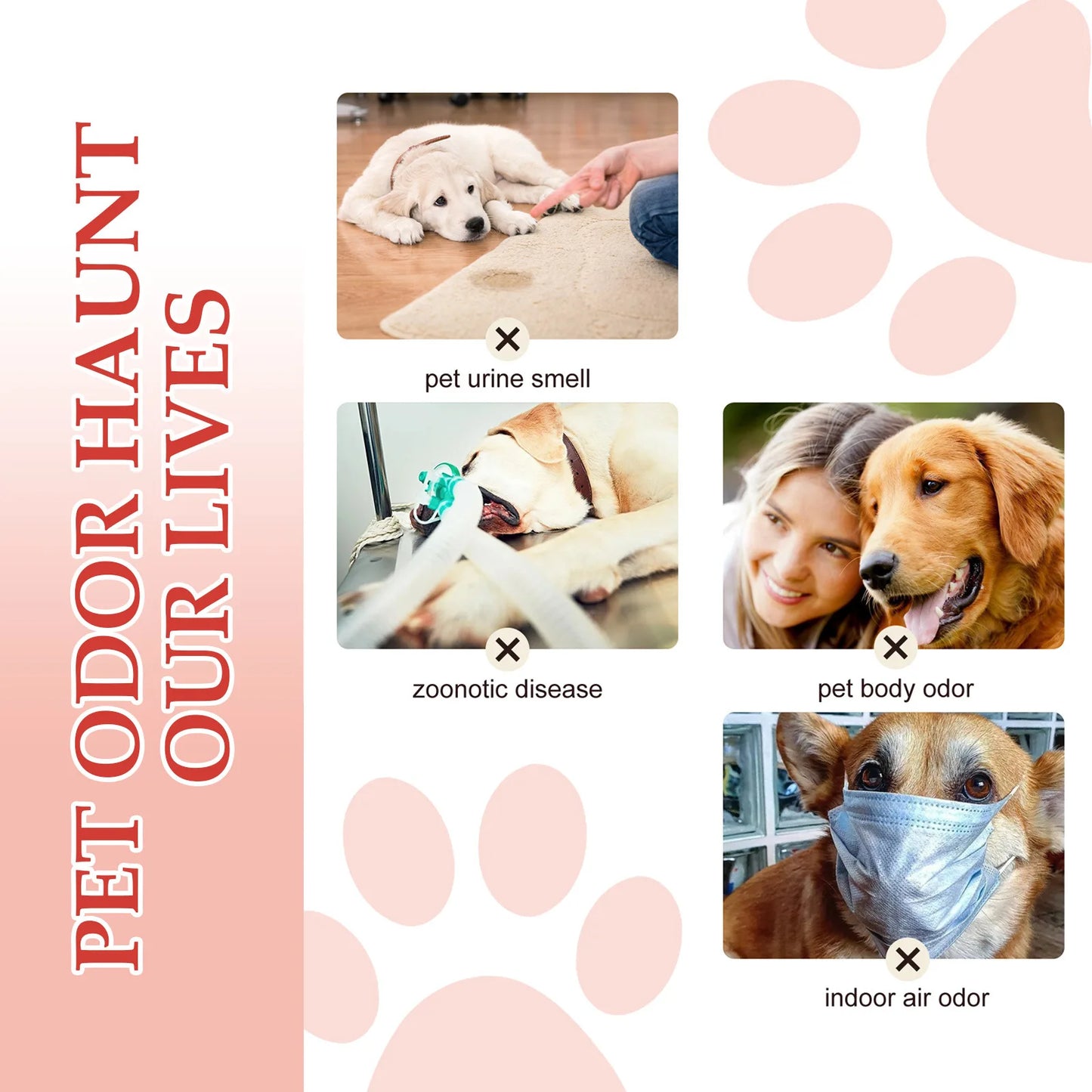 Pet Odor Eliminator Spray - Long-Lasting Clean Deodorant for Dogs & Cats Liquid Fragrance Body Odor Removal Smell