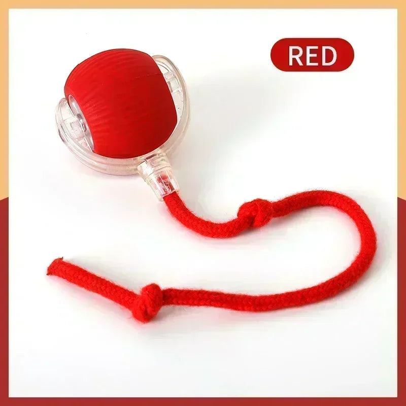 Cat Interactive Ball Rechargeable Smart Pet Electric Toy 3 Mode Automatic Rolling Ball Simulated Tail Dog Cat Training Teaser